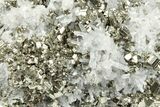 Gleaming Pyrite Crystals with Quartz Crystals - Peru #238933-1